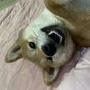 우정 팜 크리닉 이미지