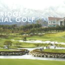 세이브투어 이미지