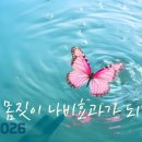"작은 몸짓이 나비효과가 되기를!"("May small gestures be the butterfly effect!") 이미지