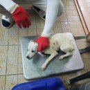 영주시이산면보건지소 이미지