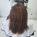 라비쉬헤어 - 남동구 | 라비쉬헤어
