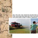 논밭에 이미지