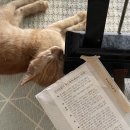 토마스동물병원 이미지