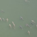 자전거길화장실 이미지