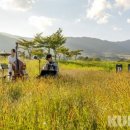 2021 plz페스티벌 이미지