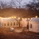 숲속의 옹달샘 | 인천 흑염소 숲속의 연못 후기 토끼 오리 닭백숙