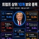 [천기누설] 트럼프 보유종목 이미지