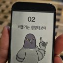 비허밍스터디카페경산점 | [경북/경산]대동 '비둘기는멍청해보여' 카페 후기 ㅣ 영대 고양이 영남대 24시까지 애견동반