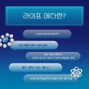 메타라이프 이미지