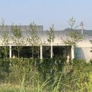모모다인오픈하우스 | 남양주 카페 모모다인 오픈하우스 내돈내산 후기 (드라이브 코스 대형카페 추천)