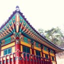 흥국사길 Daum카페