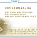 일일예화말씀묵상 2012년 11월 15일 (목) - 거짓말 이미지