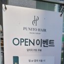 푸니토