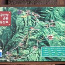 대공산성 등산로 Daum카페