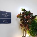 호텔뉴브(HOTEL NEWV) 이미지