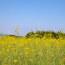 청산도횟집 이미지