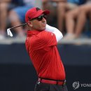 디오픈골프