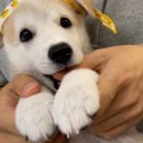 러브어스스튜디오 이미지