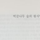 떡갈나무숲 이미지