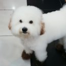 서울프라임 동물병원 이미지