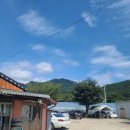 토속건강원