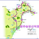 제1305차 국내최장303m 대왕암 출렁다리, 태화강대숲길 이미지