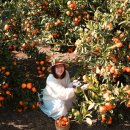 임해농장 이미지