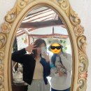 밀양촌캉스 감성숙소 "제니의집" 조식&바베큐 내돈내산 ෆ
