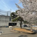 에버리오골프클럽 이미지