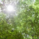 위너스자연요양병원 이미지