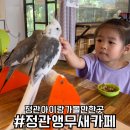 정관앵무새카페