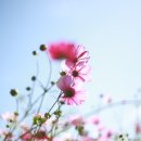 참좋은날 이미지