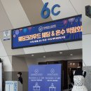[W-step 1.] [결혼준비 / 웨딩박람회투어] 일산 킨텍스 웨딩박람회 후기 (feat. 웨딩크라우드)