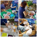 (주)디씨팜 이미지