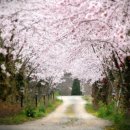 장꽁 펜션 이미지