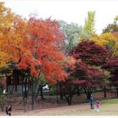 일석관광주 네이버블로그