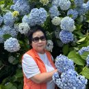 유로-투어빌리지 | 제주도 2박3일 대가족 10인 여행 2일차 (제주투어패스48시간, 카멜리아힐, 벨진밧, 산양큰엉곶, 홍회장...