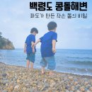 콩돌해안 공중화장실 | 백령도 콩돌해변, 파도가 만든 작은 돌의 비밀｜천연기념물 콩돌해안 여행