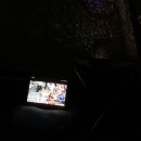 뉴버팔로