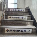 부개성심의원 이미지
