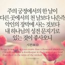 오늘의 '영어성경 사진'(804강) “내 하나님의 성전 문지기”(시편 84편 10절) 이미지