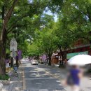 청사초롱 태조로점
