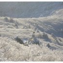 1월 태백산 정기산행 신청 및 좌석예약배치도 이미지