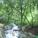 영월힐링숲펜션 이미지