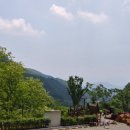 김천물소리생태숲_#1 이미지