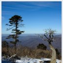 12월 15일(토) 강원 태백 태백산 [太白山] (1567m) 산행신청 받습니다 이미지