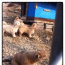 사진포농장 이미지