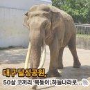 달성공원 동물병원 이미지