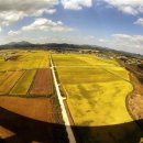 들녘 옷 이미지