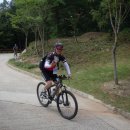 냉산공원 Daum카페
